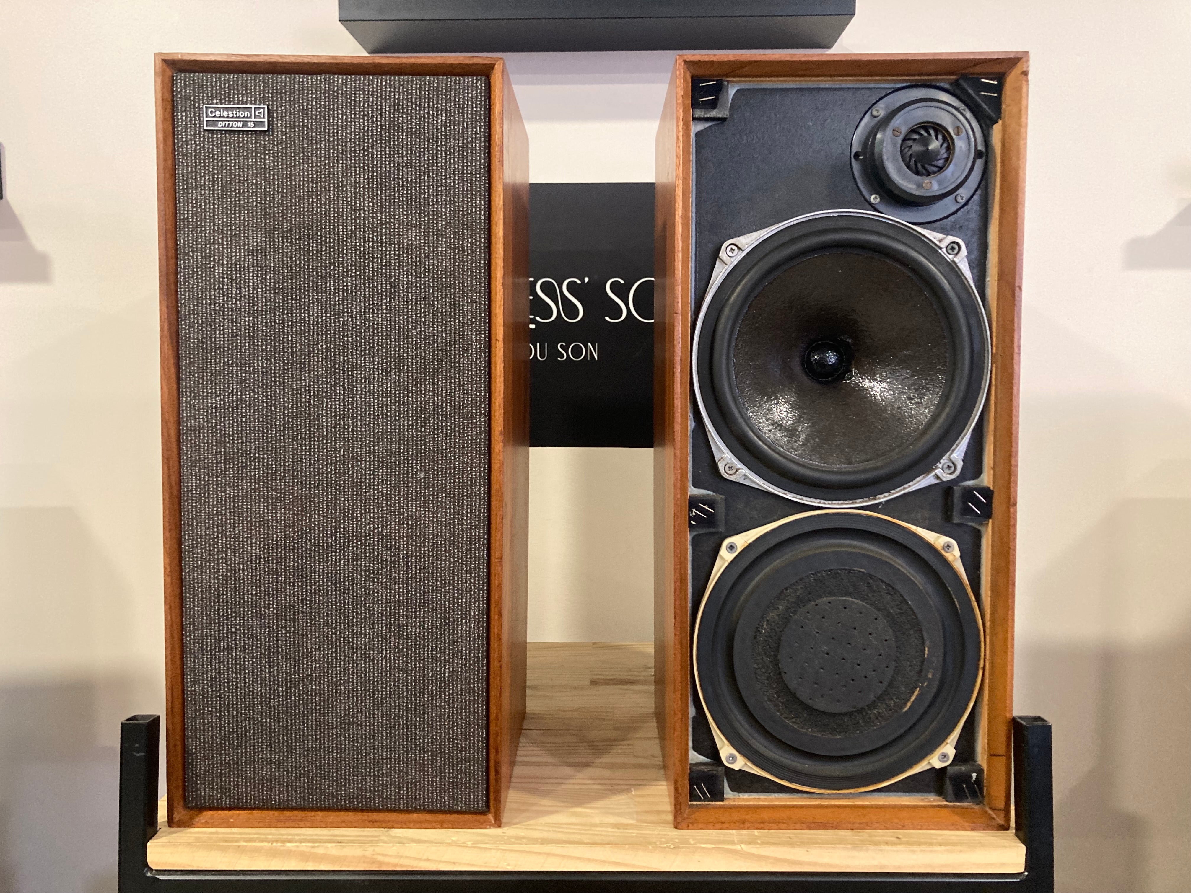 CELESTION DITTON 15