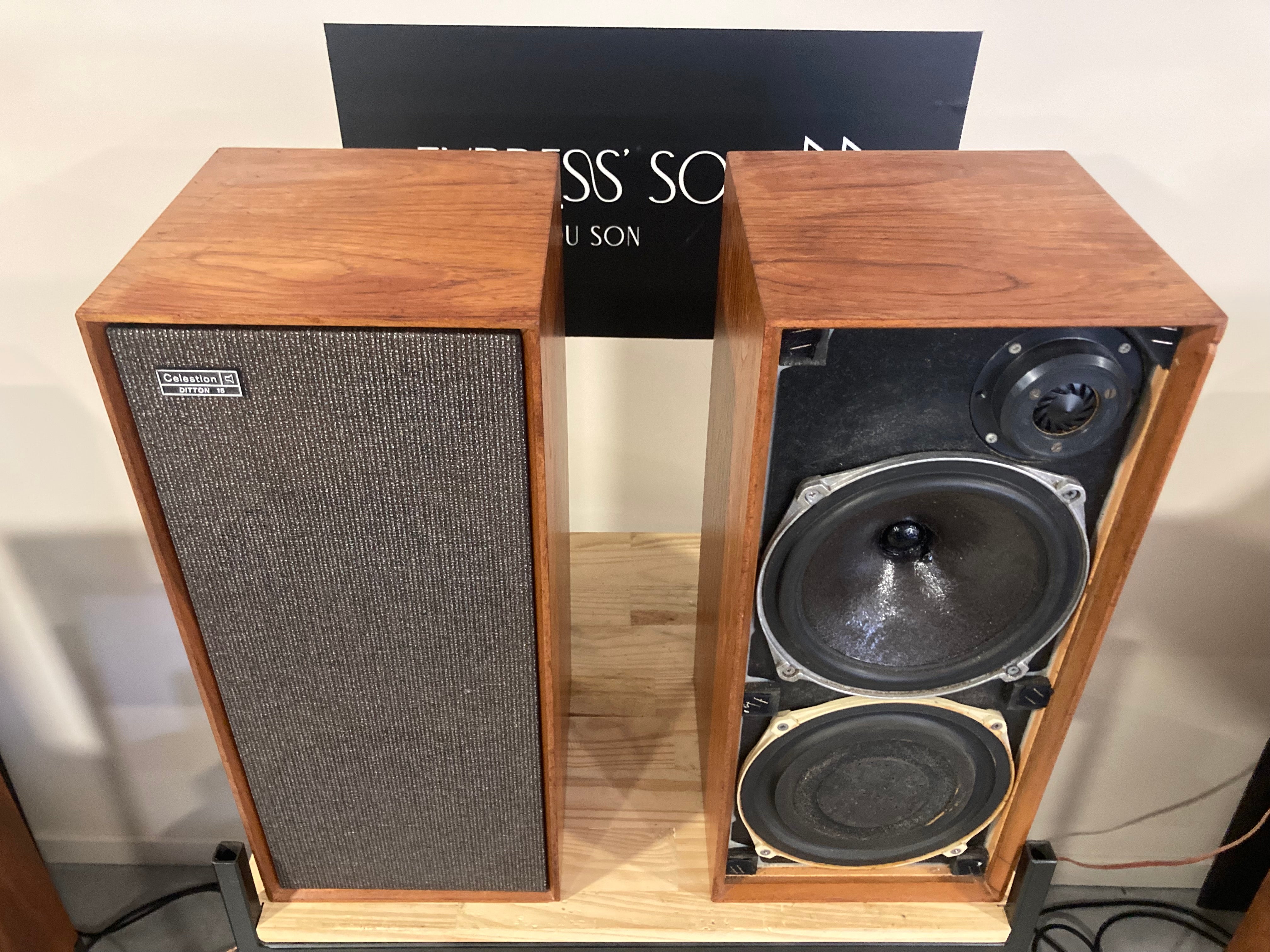 CELESTION DITTON 15
