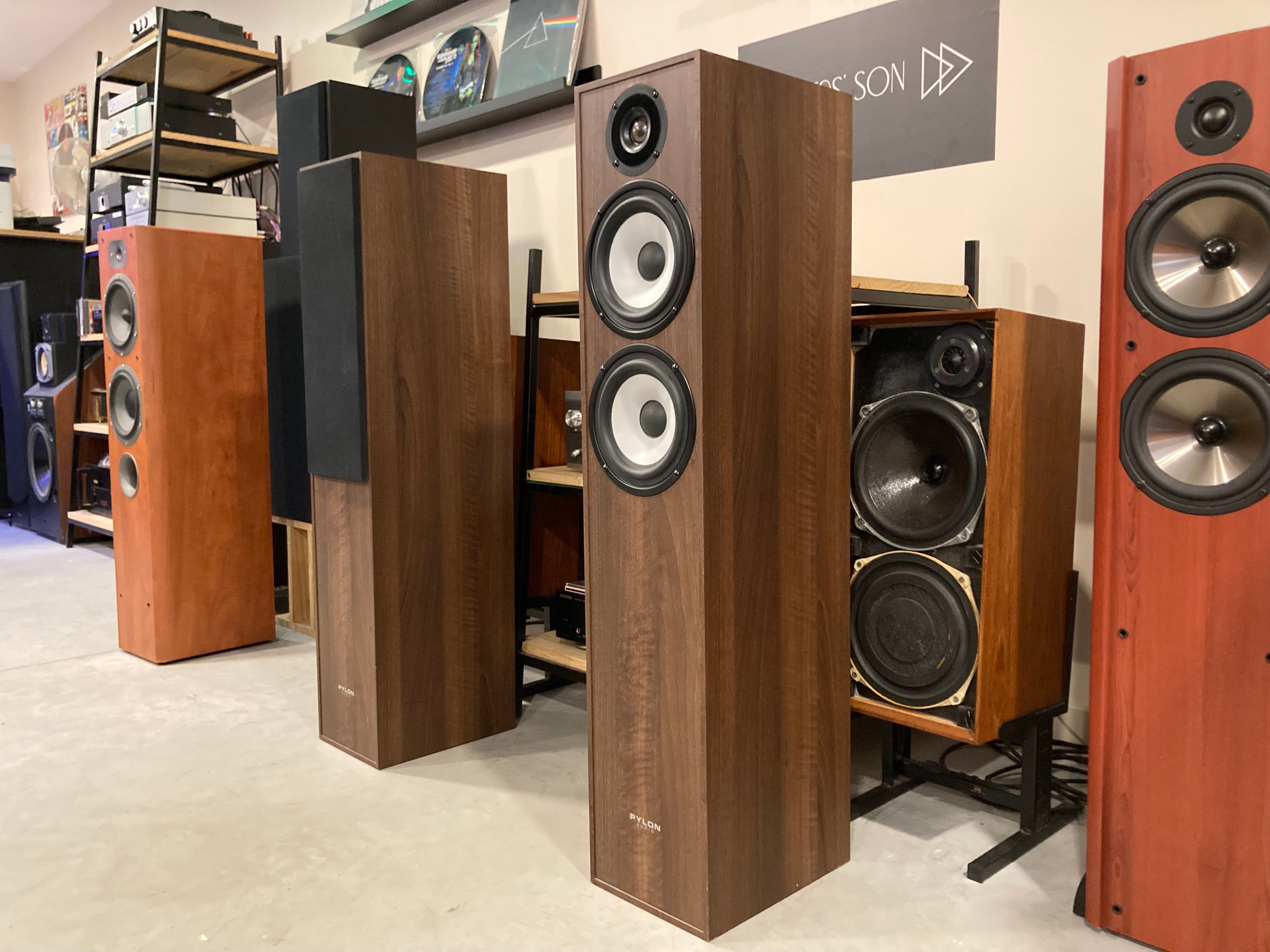 PYLON AUDIO PEARL 25